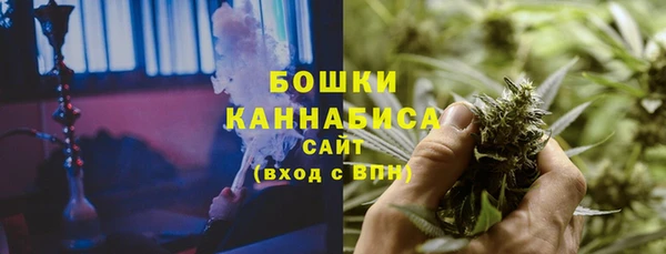 индика Нефтегорск